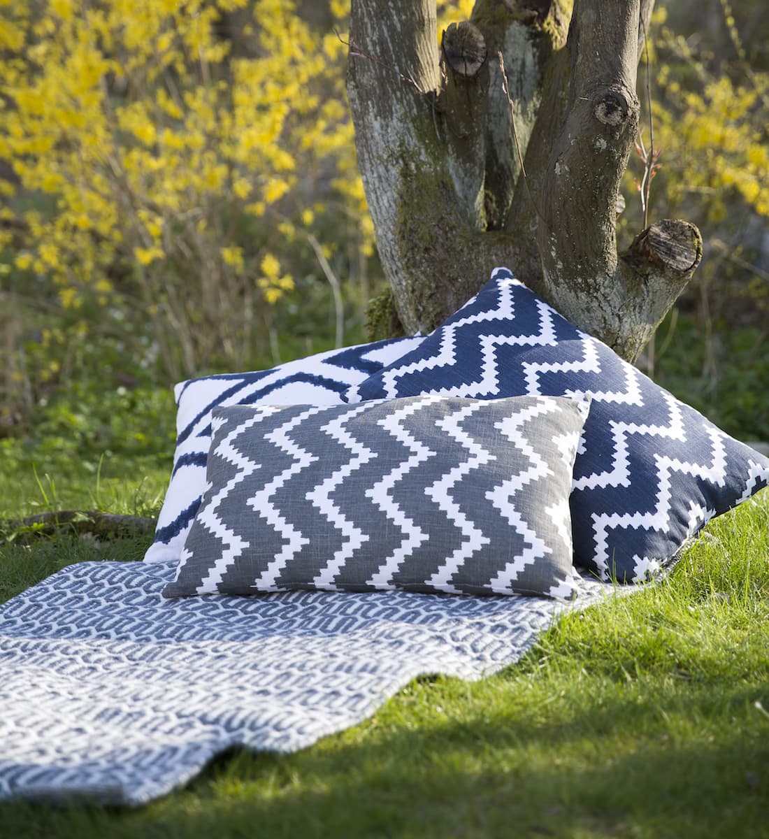 Blue and white top outdoor cushions