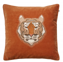 Tiger - Orange