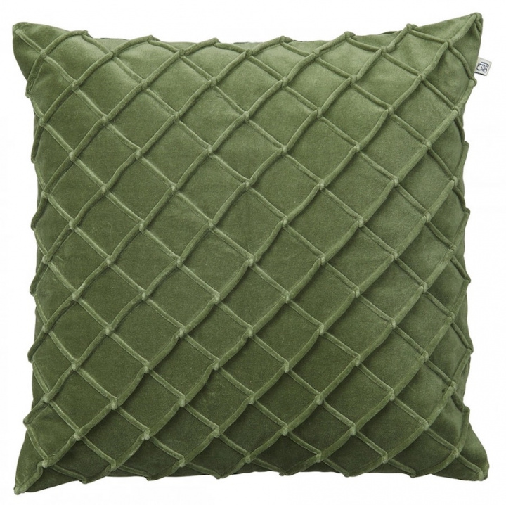 Deva - Cactus Green in the group Cushions / Style / Decorative Cushions at Chhatwal & Jonsson (ZCC840172-9V)