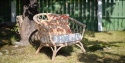 Ikat Delhi - Apricot Orange/Beige OUTDOOR